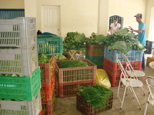 Agricultores de Ecoporanga fornecem produtos para alimentação escolar