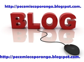 Alunos de Ecoporanga criam blog para expor trabalhos desenvolvidos durante o ano 